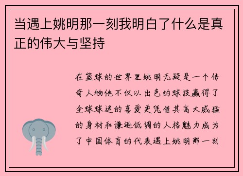 当遇上姚明那一刻我明白了什么是真正的伟大与坚持